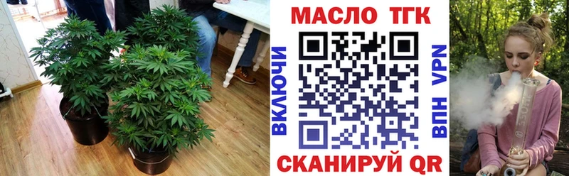 ТГК жижа где продают KRAKEN онион Бородино