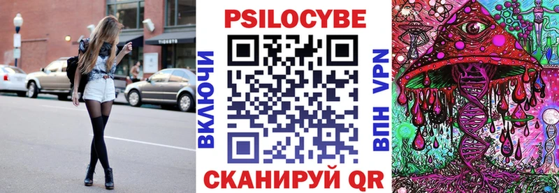 Псилоцибиновые грибы Psilocybe  Бородино 